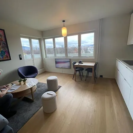 Frognervein Terrace Penthouse