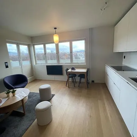 Frognervein Terrace Penthouse Oslo