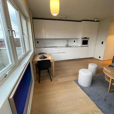 アパート Frognervein Terrace Penthouse オスロ