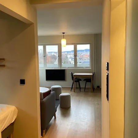 公寓 Frognervein Terrace Penthouse 奥斯陆